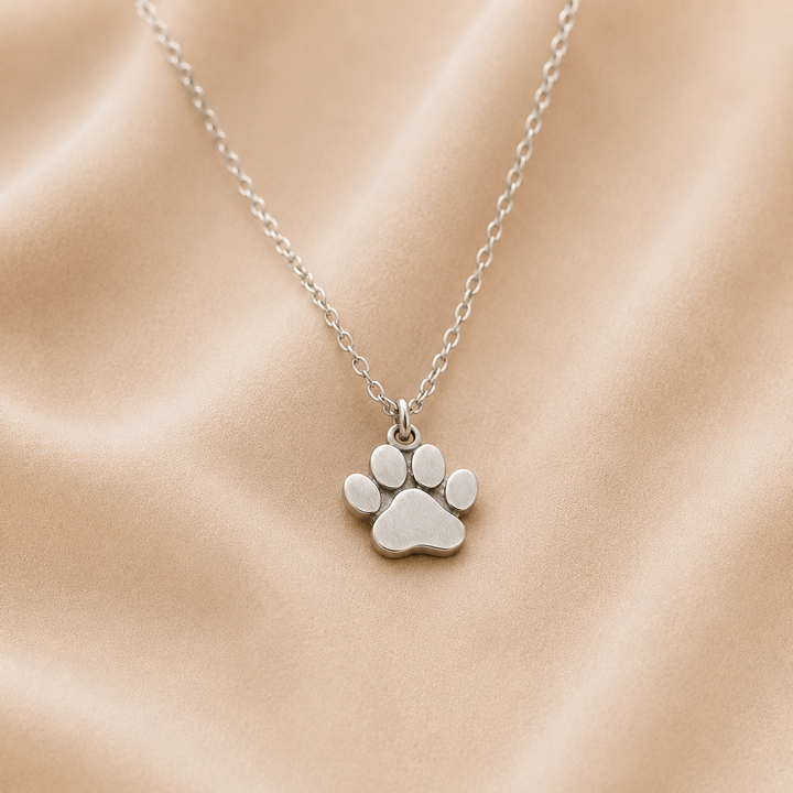 Collar Elegante de Patas de Plata – Acero Inoxidable