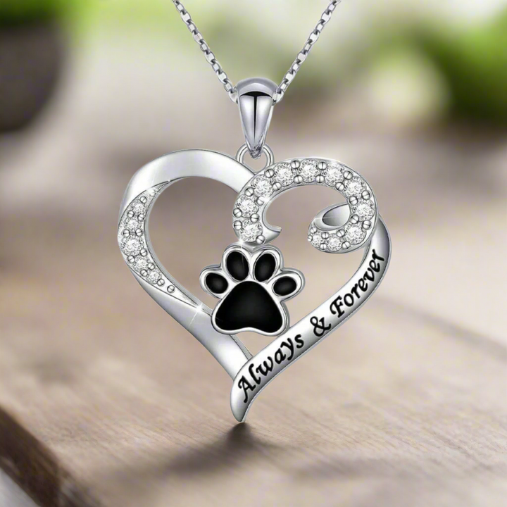Collar de Huella de Perro – Diseño de Corazón en Acero Inoxidable con Zirconia