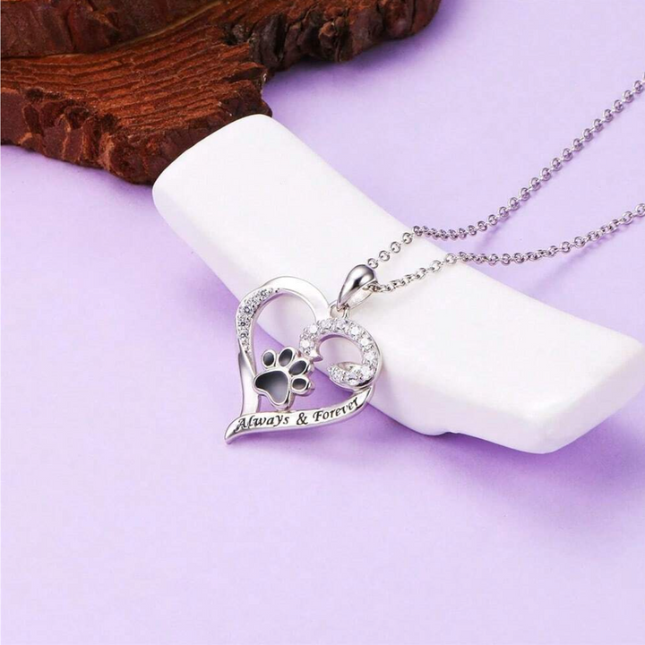 Collar de Huella de Perro – Diseño de Corazón en Acero Inoxidable con Zirconia