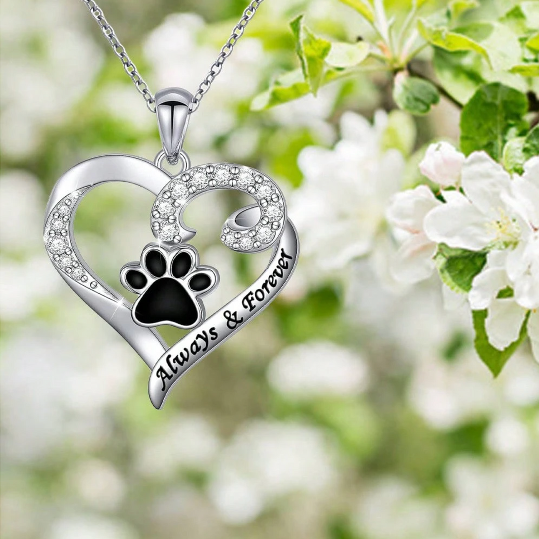 Collar de Huella de Perro – Diseño de Corazón en Acero Inoxidable con Zirconia