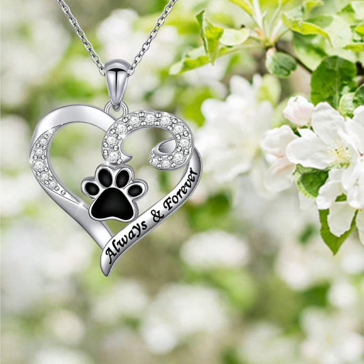 Collar de Huella de Perro – Diseño de Corazón en Acero Inoxidable con Zirconia