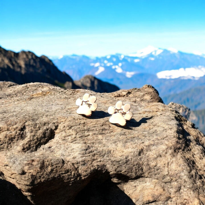 Pendientes de Patas Hipoalergénicos – Hechos de Acero Inoxidable